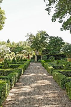 an outdoor garden with hedges and trees