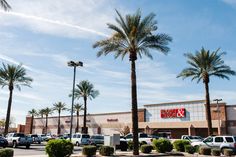 palm trees in front of a store with cars parked outside and on the side walk