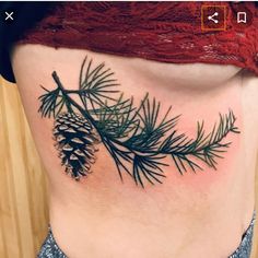 a pine cone and branch tattoo on the side of a woman's ribcage