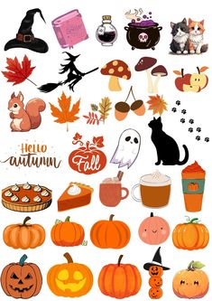 a bunch of pumpkins and other items on a white background