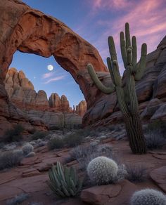 an arch in the desert with cacti and rocks around it at dusk time