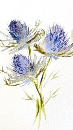 three blue flowers are shown in this watercolor style painting on white paper with green stems