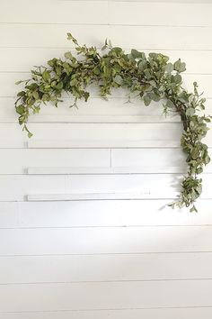 a green plant hanging on the side of a white wall