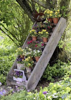 an old wooden ladder is filled with potted plants and flowers in the garden area