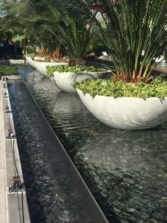 two large white planters filled with plants next to water