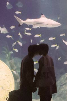 two people standing next to each other in front of an aquarium with fish swimming around