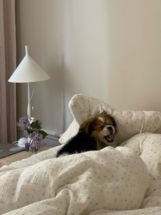 a dog laying on top of a bed next to a lamp