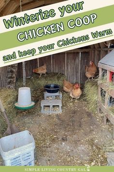 a chicken coop with chickens in it and the words winterize your chicken coop and keep your chickens warm