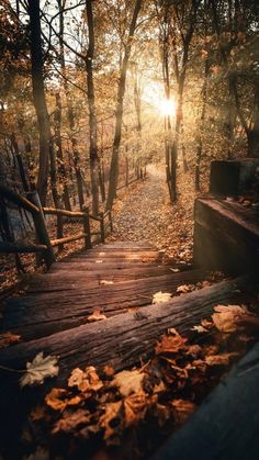 the sun shines through the trees and leaves on the ground in front of a wooden walkway