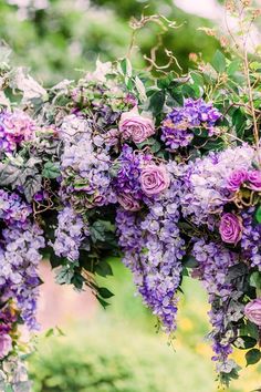 purple flowers are growing on the vine