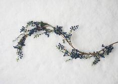 some blue flowers are laying in the snow