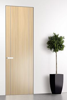 a potted plant next to a wooden door in an empty room with white walls