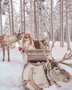 a woman sitting on a sleigh with reindeers in the snow behind her