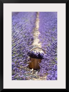 a basket filled with lavender flowers sitting on top of a field