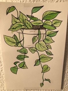 a drawing of a potted plant with green leaves hanging from it's side