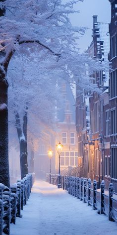 a snow covered street with trees and buildings in the background on a foggy day