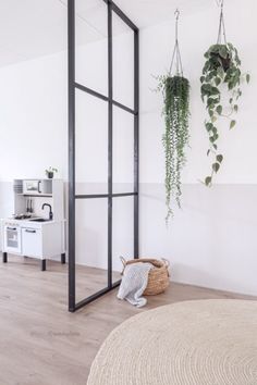 a living room with plants hanging on the wall and a rug in front of it