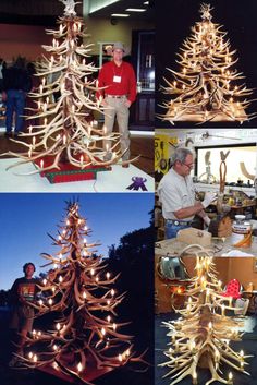 several pictures of different types of christmas trees with lights on them and people standing around