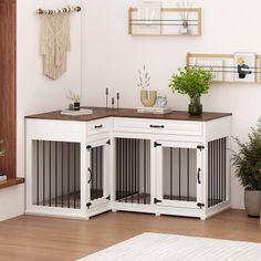 a white room with some plants and other things on the wall, including a dog kennel