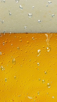 a close up of a beer glass with water drops