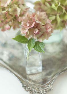 some pink and green flowers are in a glass vase on a silver tray with a mirror behind it