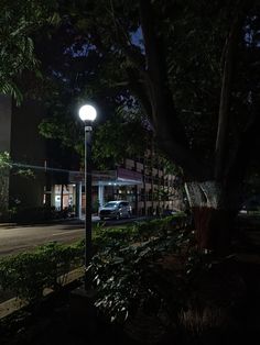 a street light sitting on the side of a road next to a lush green tree