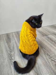 a black cat wearing a yellow sweater sitting on the floor