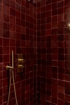 a red tiled shower with thermostaer and hand held showerhead