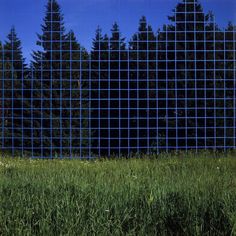 a grassy field with trees in the background and a blue grid on the wall behind it