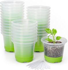 several plastic cups with plants growing out of them