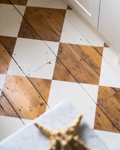 a starfish laying on the floor in a kitchen