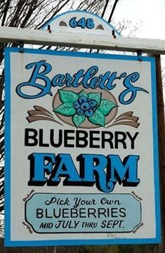 a blueberry farm sign hanging off the side of a building