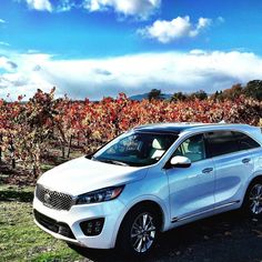 a white car parked in front of a field with trees and bushes behind it on a sunny day