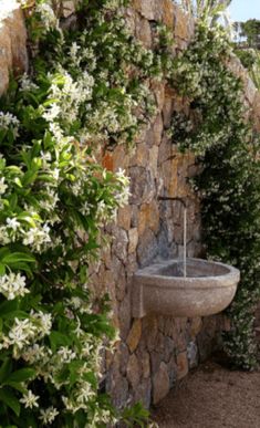 a stone fountain in the middle of a garden with white flowers growing on it's sides