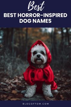 A costumed dog sits in a spooky forest, representing lots of options with spooky dog names themed around horror movies.