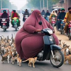 a woman on a moped is surrounded by cats and other people in the street