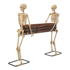 two skeletons standing next to each other with a wooden box in the shape of a skeleton