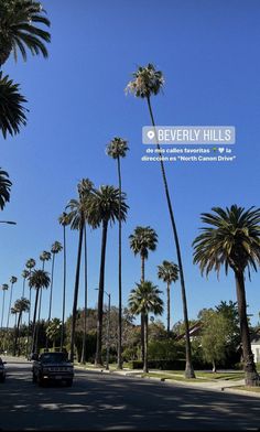 palm trees line the street in beverly hills