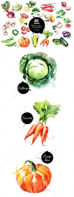 an image of vegetables and their names in watercolor