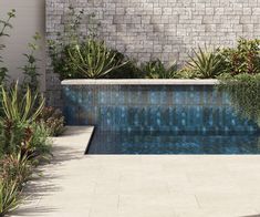 an empty swimming pool surrounded by greenery and brick walls with water running down the side