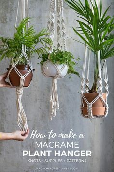 three macrame plant hangers with plants in them and the words how to make a macrame plant hanger