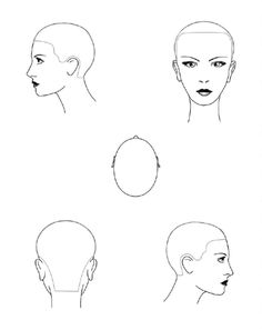 Salon Coiffeur Feuille de tête de coupe de cheveux - Etsy France Hair Chart, Hair Cut Guide, Hair Academy, Face Charts, Balayage Technique, Face Chart, Hair Techniques, Female Head, Hair Color Techniques