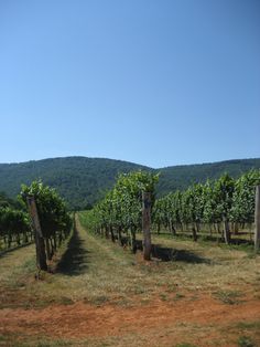 a dirt road surrounded by trees and hills