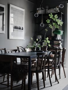 the dining room table is surrounded by chairs and plants