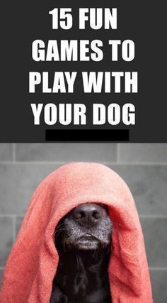 a dog under a blanket with the title 15 fun games to play with your dog