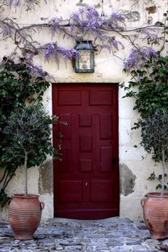 a red door is surrounded by potted plants