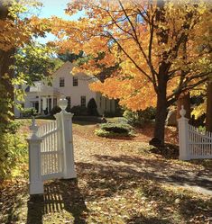 a white gate in front of a house surrounded by fall foliage and trees with yellow leaves on the ground