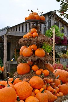 a pile of pumpkins sitting on top of each other in front of a house