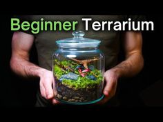 a man holding a jar with plants in it and the words beginner terrarium