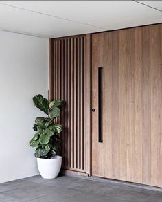 a potted plant sitting next to a wooden door